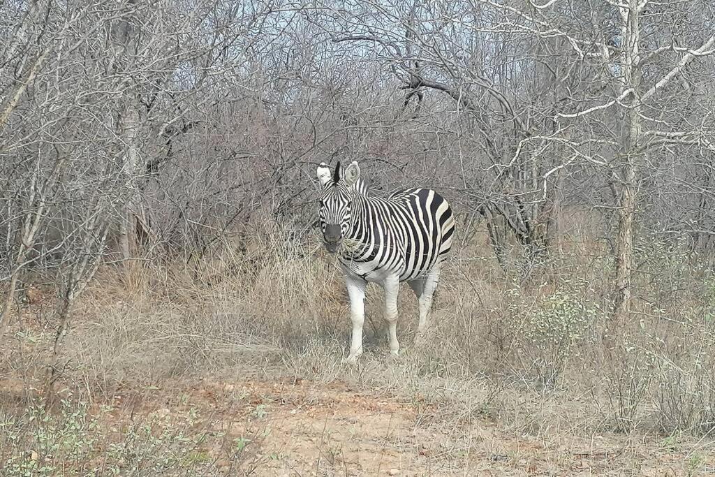 Amukela Kaya Villa Hoedspruit Kültér fotó