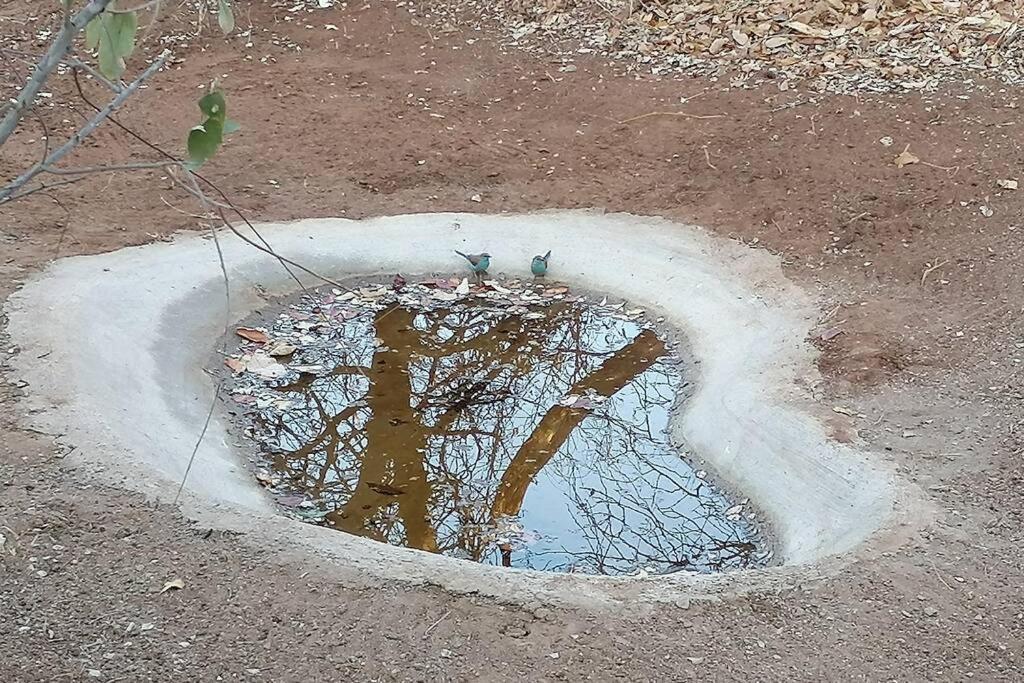 Amukela Kaya Villa Hoedspruit Kültér fotó