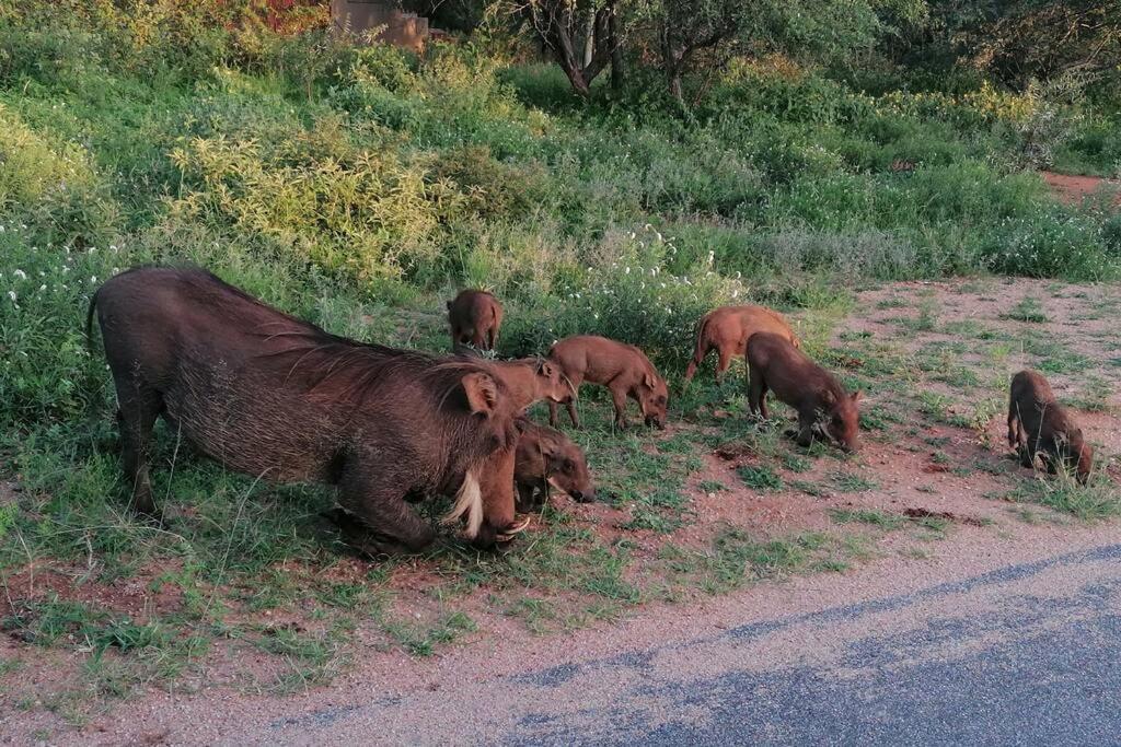 Amukela Kaya Villa Hoedspruit Kültér fotó